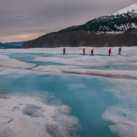 a group of people riding skis on a snowy mountain