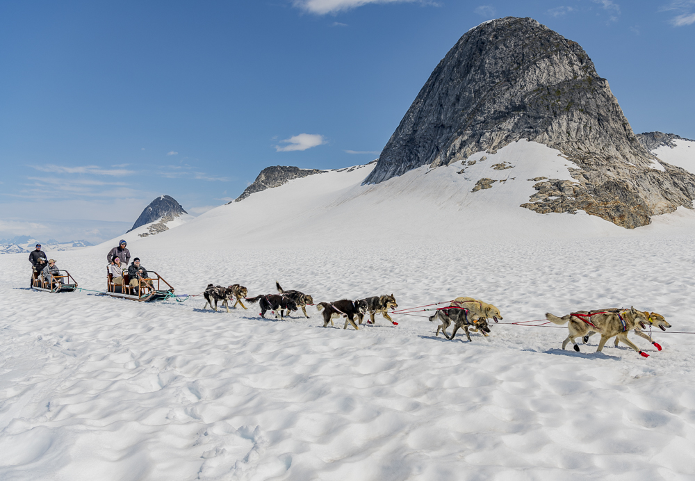 Helicopter & Dog Sled Glacier Trek | NorthStar Helicopter