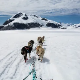 a person cross country skiing on a snow covered mountain