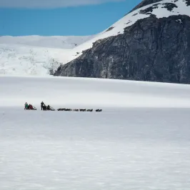 a group of people riding skis on a snowy mountain