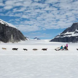 a group of people riding skis on top of a snow covered mountain
