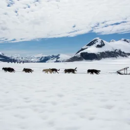 a group of people standing on top of a snow covered slope