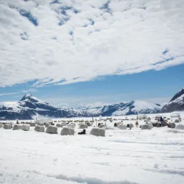 a snow covered field