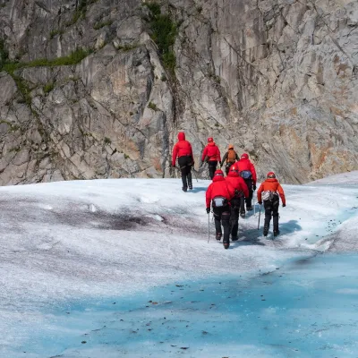 a group of people riding skis on a snowy mountain
