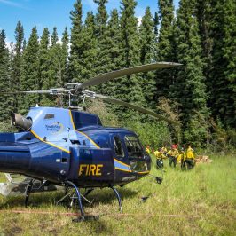 a helicopter parked in a forest