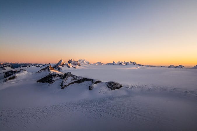 a flock of seagulls are standing in the snow