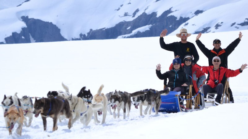 a man and a dog in the snow